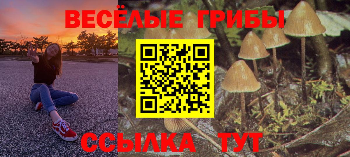 Псилоцибиновые грибы Psilocybe Мелеуз